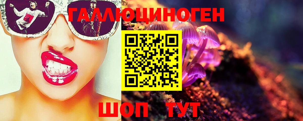 Пенза  купить  сайты  Вход с VPN  Галлюциногенные грибы мицелий  Галлюциногенные грибы мухоморы 